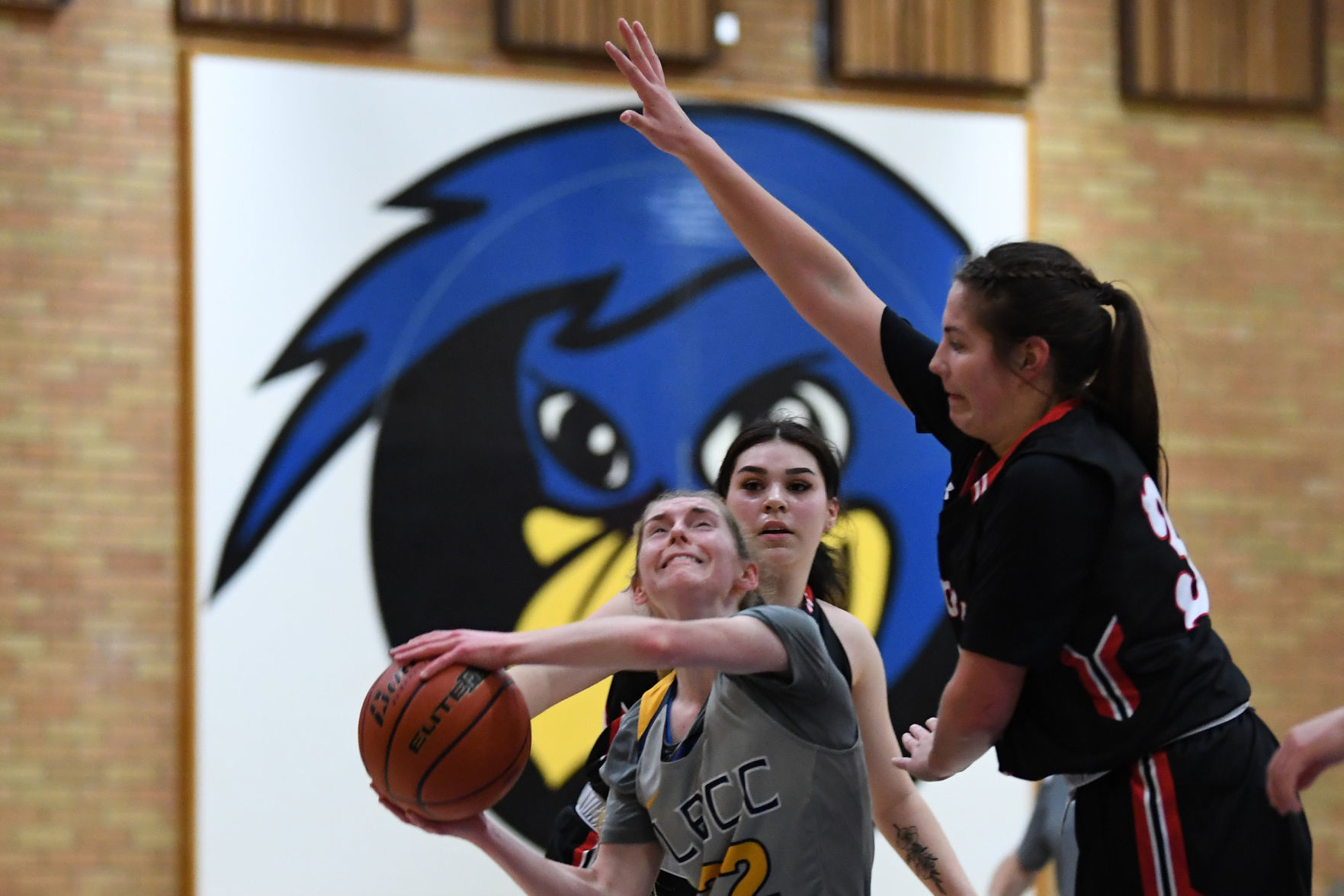 122019-dh-gallery109-spt-lbcc womens bb-leonn.JPG